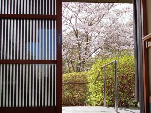 桜の季節、玄関を開けた瞬間にもふっと息を呑んでしまいそうなほどの美しい景色が目に飛び込んでくるようです。(玄関)