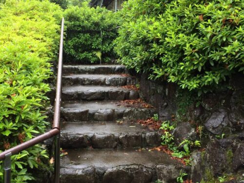 玄関に向かう階段。雨の日のこの趣ある風情を楽しめます。