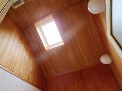 浴室のトップライトからの光と、高い天井(風呂)